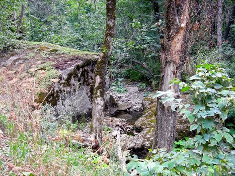 The Beloretsky tract. Nature is in the way of the Beloretsky tract. Roads and landscape.