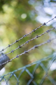 Barbed wire on a metal fence to demarcate the border, closeup, blurry background