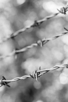 Barbed wire on a metal fence to demarcate the border, closeup, blurry background