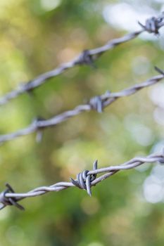 Barbed wire on a metal fence to demarcate the border, closeup, blurry background