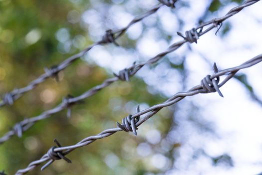 Barbed wire on a metal fence to demarcate the border, closeup, blurry background