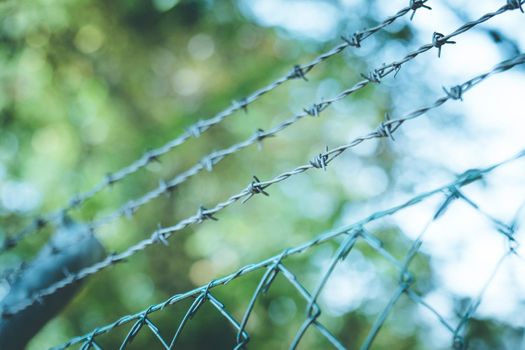Barbed wire on a metal fence to demarcate the border, closeup, blurry background