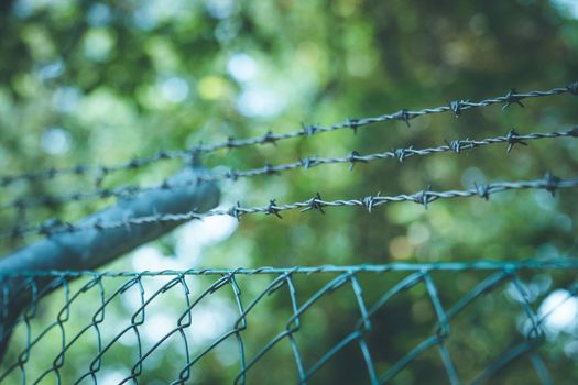 Barbed wire on a metal fence to demarcate the border, closeup, blurry background