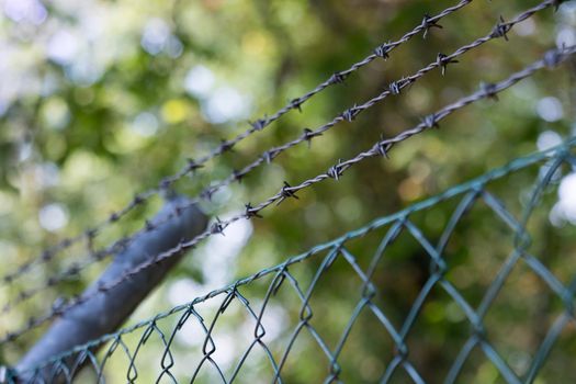 Barbed wire on a metal fence to demarcate the border, closeup, blurry background