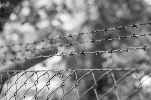Barbed wire on a metal fence to demarcate the border, closeup, blurry background