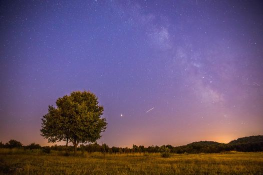 Clear purple sky with stars, lonely field and tree