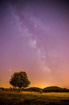 Clear purple sky with stars, lonely field and tree