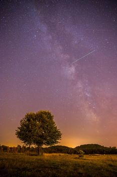 Clear purple sky with stars, lonely field and tree