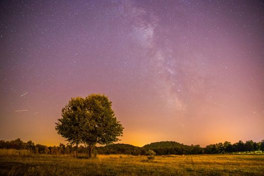 Clear purple sky with stars, lonely field and tree