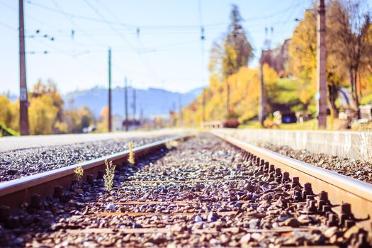 Landscape of an old abandoned railway in fall. Warm light, sustainable traveling
