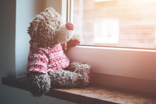 Cute teddy bear is sitting on the windowsill, looking out of the window, sunlight