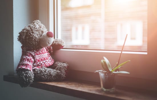 Cute teddy bear is sitting on the windowsill, looking out of the window, sunlight