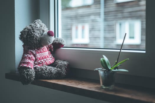 Cute teddy bear is sitting on the windowsill, looking out of the window