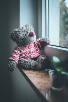 Cute teddy bear is sitting on the windowsill, looking out of the window