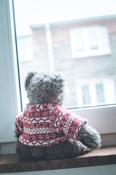 Cute teddy bear is sitting on the windowsill, looking out of the window