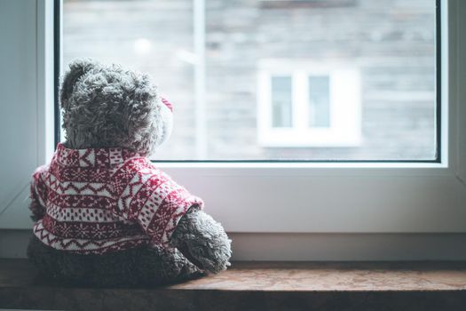 Cute teddy bear is sitting on the windowsill, looking out of the window