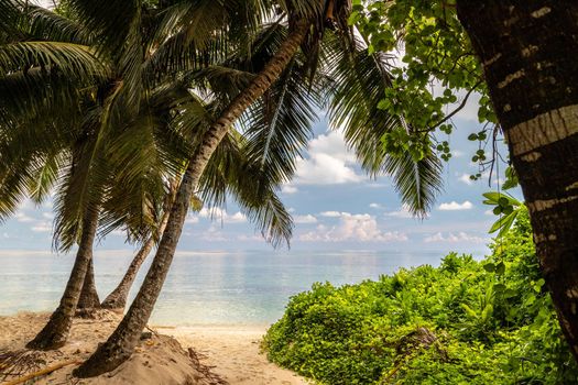 Paradise beach anse royale on Seychelles island Mahé with turguoise water, palms, white sand and granite rocks