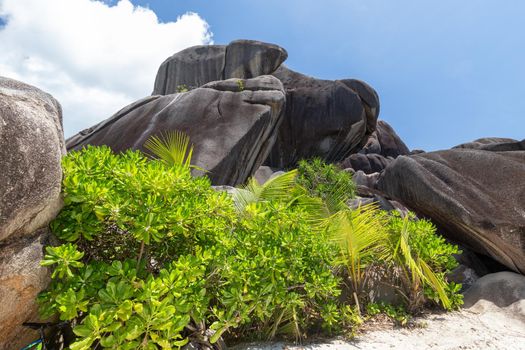 Beautiful beach Anse Source D'Argent on Seychelles island La Digue with white sand, granite rocks, green bushes and  blue sky with white clouds