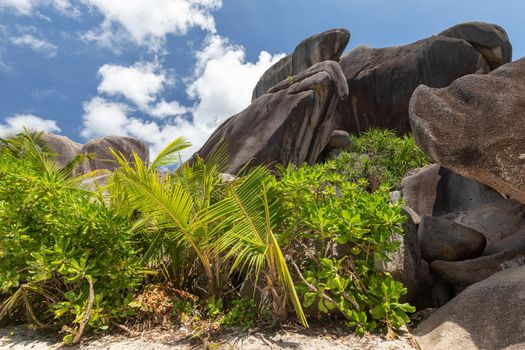 Beautiful beach Anse Source D'Argent on Seychelles island La Digue with white sand, granite rocks, green bushes and  blue sky with white clouds