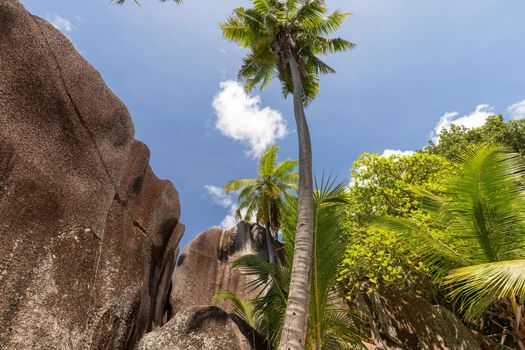 Beautiful beach Anse Source D'Argent on Seychelles island La Digue with white sand, Palm trees, granite rocks on the beach and blue sky with white clouds