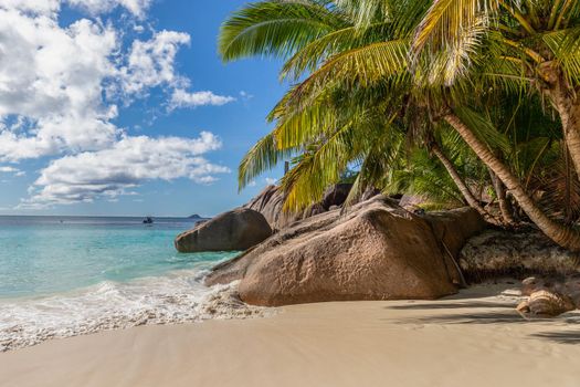 Paradise beach with white sand, palms, rocks, turqoise water on Seychelles island Praslin