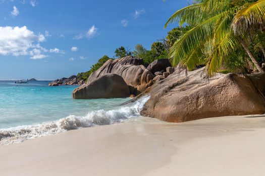 Paradise beach with white sand, palms, rocks, turqoise water on Seychelles island Praslin