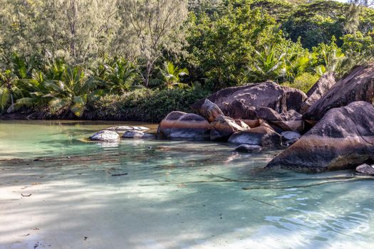 Paradise beach with white sand, palms, rocks, turqoise water on Seychelles island Praslin