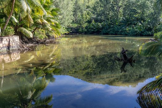 Landscape with water relection on Seychelles island Praslin