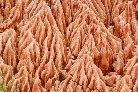 Red sandstone formations  and needles (Tsingys) in Tsingy Rouge Park in Madagascar, Africa