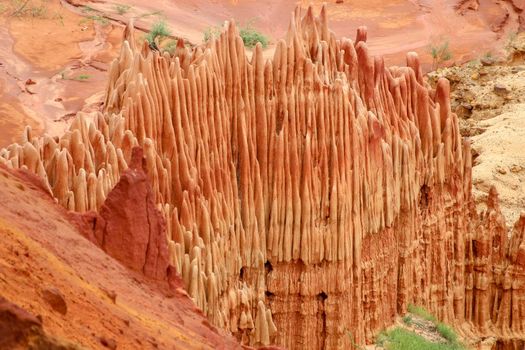 Red sandstone formations  and needles (Tsingys) in Tsingy Rouge Park in Madagascar, Africa