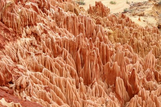 Red sandstone formations  and needles (Tsingys) in Tsingy Rouge Park in Madagascar, Africa