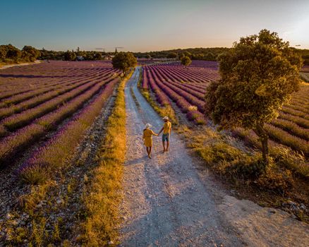 Lavender fields in Ardeche in southeast France. Drone aerial view