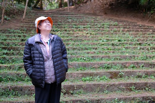 asian old elderly female elder woman resting relaxing in park. senior leisure lifestyle