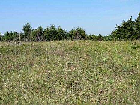 Scenes from Chisholm Creek Park in Wichita, Kansas