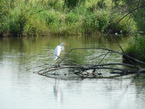 Scenes from Chisholm Creek Park in Wichita, Kansas