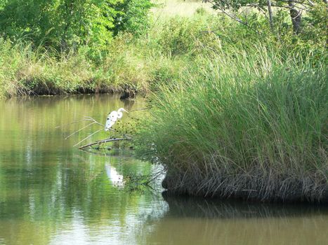 Scenes from Chisholm Creek Park in Wichita, Kansas