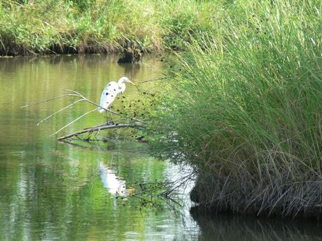 Scenes from Chisholm Creek Park in Wichita, Kansas