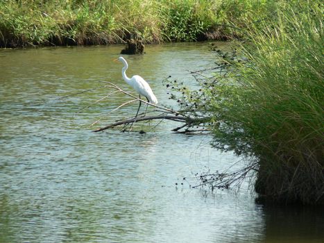 Scenes from Chisholm Creek Park in Wichita, Kansas