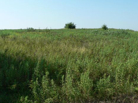 Scenes from Chisholm Creek Park in Wichita, Kansas