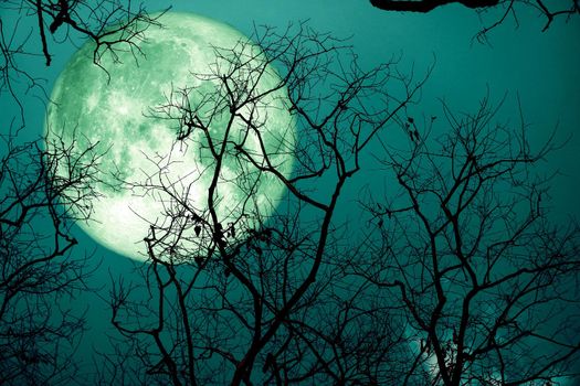 super sturgeon green moon and silhouette tree in the night sky, Elements of this image furnished by NASA