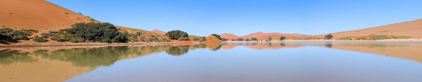 Panorama of Sossusvlei in Namibia full of water. Sand dunes are visible
