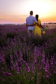 Provence, Lavender field France, Valensole Plateau, colorful field of Lavender Valensole Plateau, Provence, Southern France. Lavender field. Europe. Couple men and woman on vacation at the provence lavender fields,