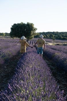 couple men and woman watching sunset in lavender fields in the south of France, Ardeche lavender fields iduring sunset, Lavender fields in Ardeche in southeast France.Europe