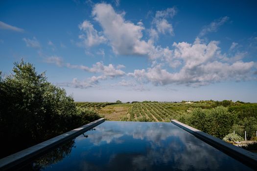 Luxury resort with a view over the wine field in Selinunte Sicily Italy. infinity pool with a view over wine fields in Sicilia