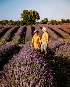 couple men and woman watching sunset in lavender fields in the south of France, Ardeche lavender fields iduring sunset, Lavender fields in Ardeche in southeast France.Europe