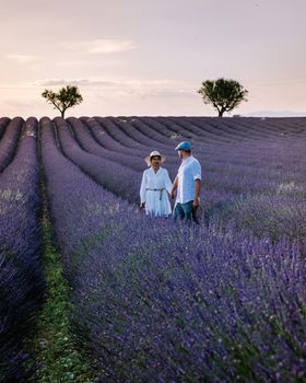 Provence, Lavender field France, Valensole Plateau, colorful field of Lavender Valensole Plateau, Provence, Southern France. Lavender field. Europe. Couple men and woman on vacation at the provence lavender fields,