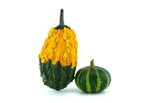 Colorful pumpkins and squashes isolated on white background