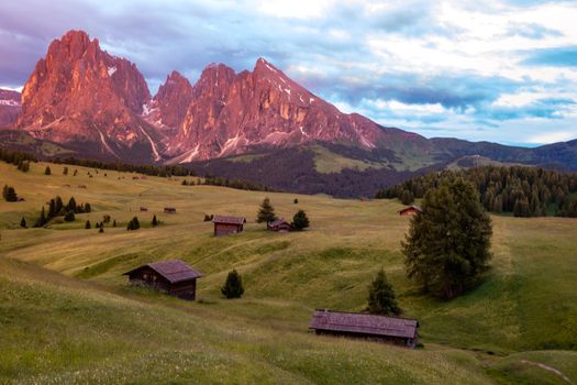 Alpe di Siusi - Seiser Alm with Sassolungo - Langkofel mountain group in background at sunset. Yellow spring flowers and wooden chalets in Dolomites, Trentino Alto Adige, South Tyrol, Italy, Europe. Summer weather with dark clouds rain