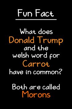 Donald Trump and Welsh Carrot