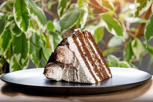 Puff cream pie on a plate. Green leaves background.